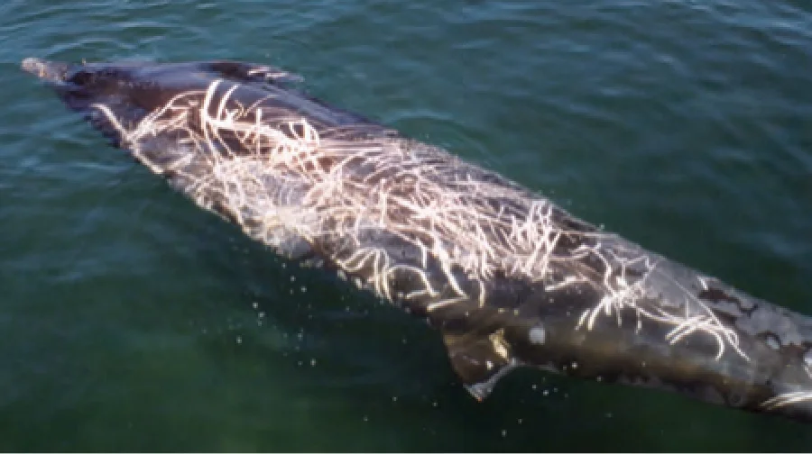 スクリーンショット 2025-08-05 144026