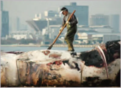 NoPath - コピー (166)