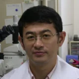 Tsuyoshi Hosoya