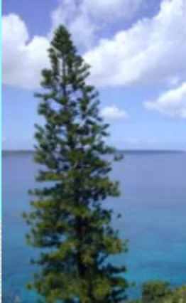 スクリーンショット 2025-08-05 182340