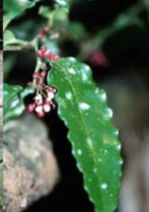 スクリーンショット 2025-08-05 182354