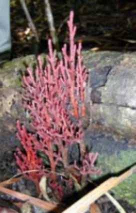 スクリーンショット 2025-08-05 182349