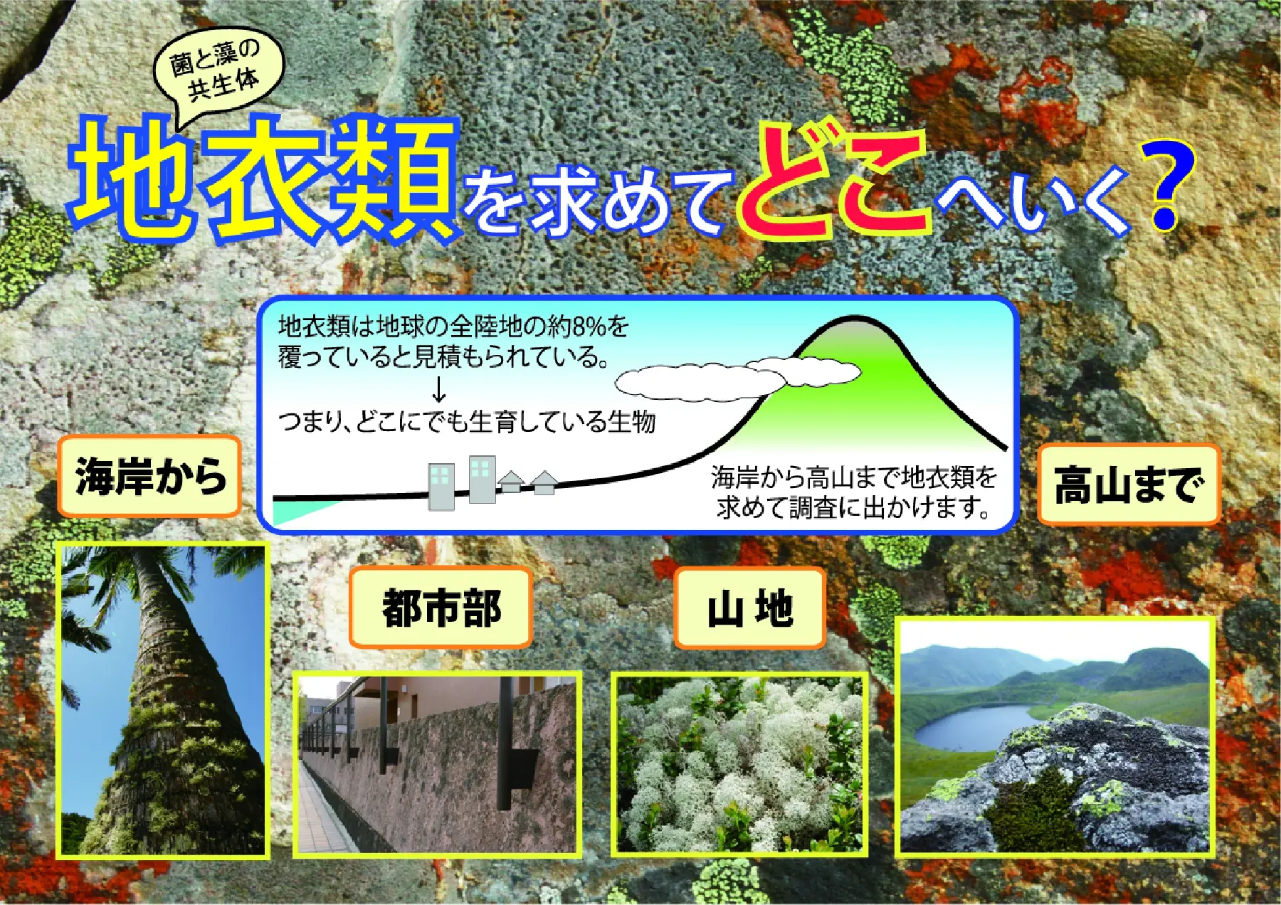 菌と藻の共生体・地衣類を求めてどこへいく?_ポスター@2x-100