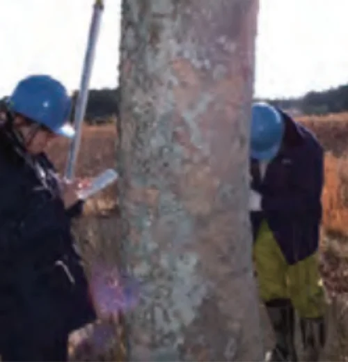 福島_地衣類調査