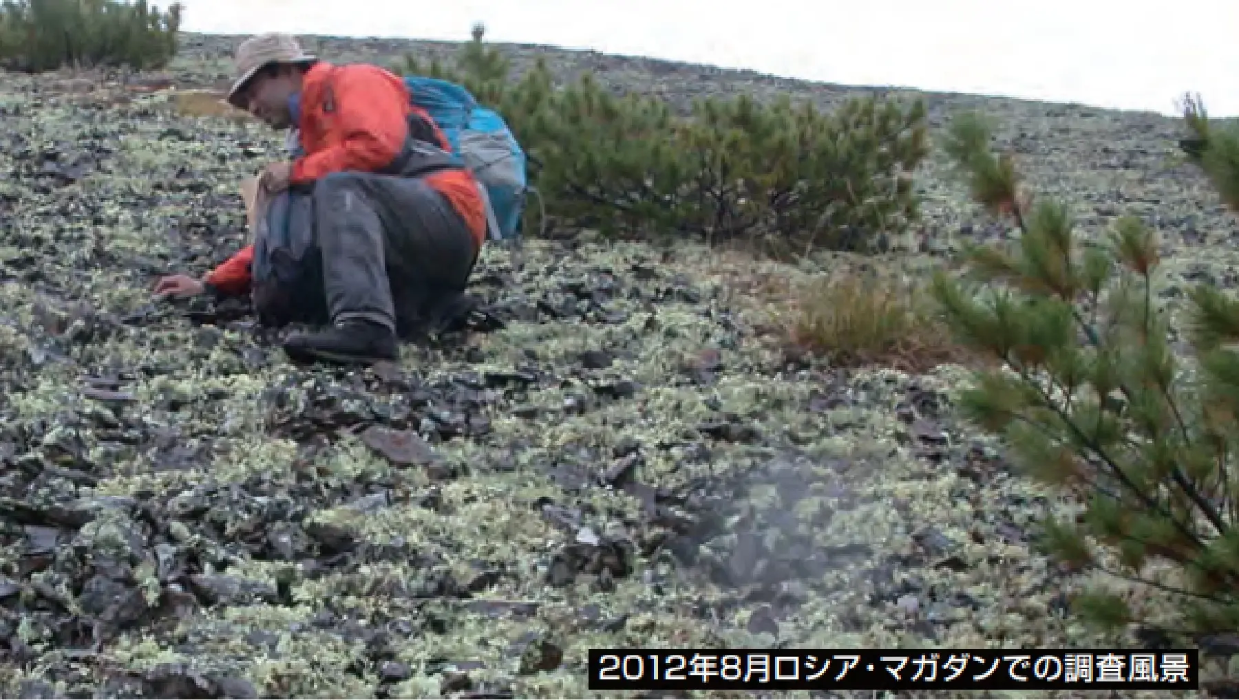 ロシア・マガダンでの調査風景