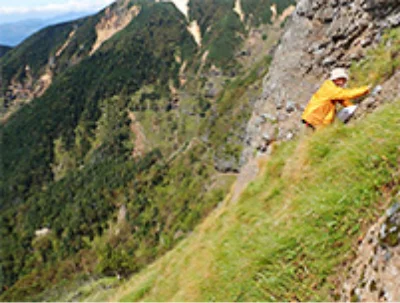 大村博士_研究員に聞いてみました