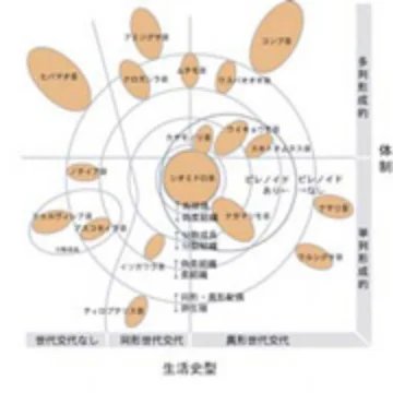 褐色類の目の分類