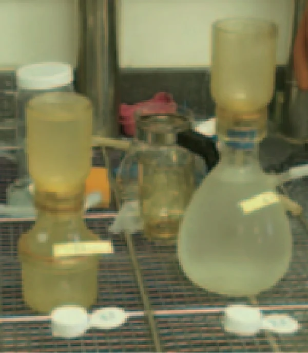 走査型電子顕微鏡