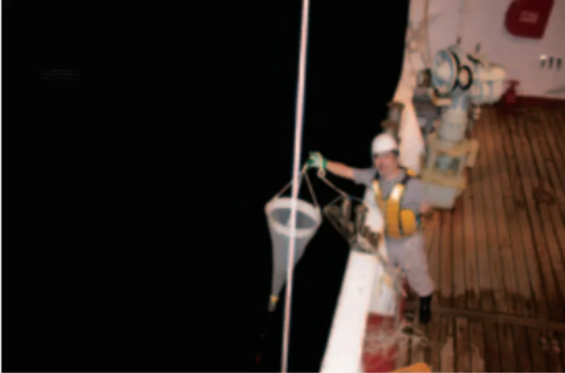 夜間の手引きネット調査