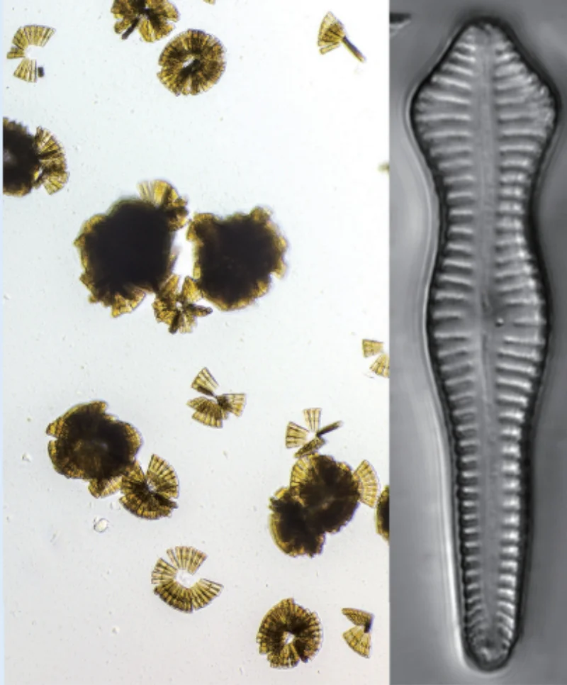 スクリーンショット 2025-08-06 173150