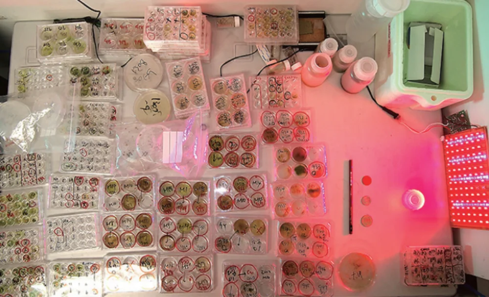 スクリーンショット 2025-08-06 173142