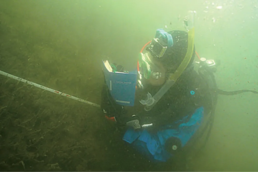 水中_ライントランセクト