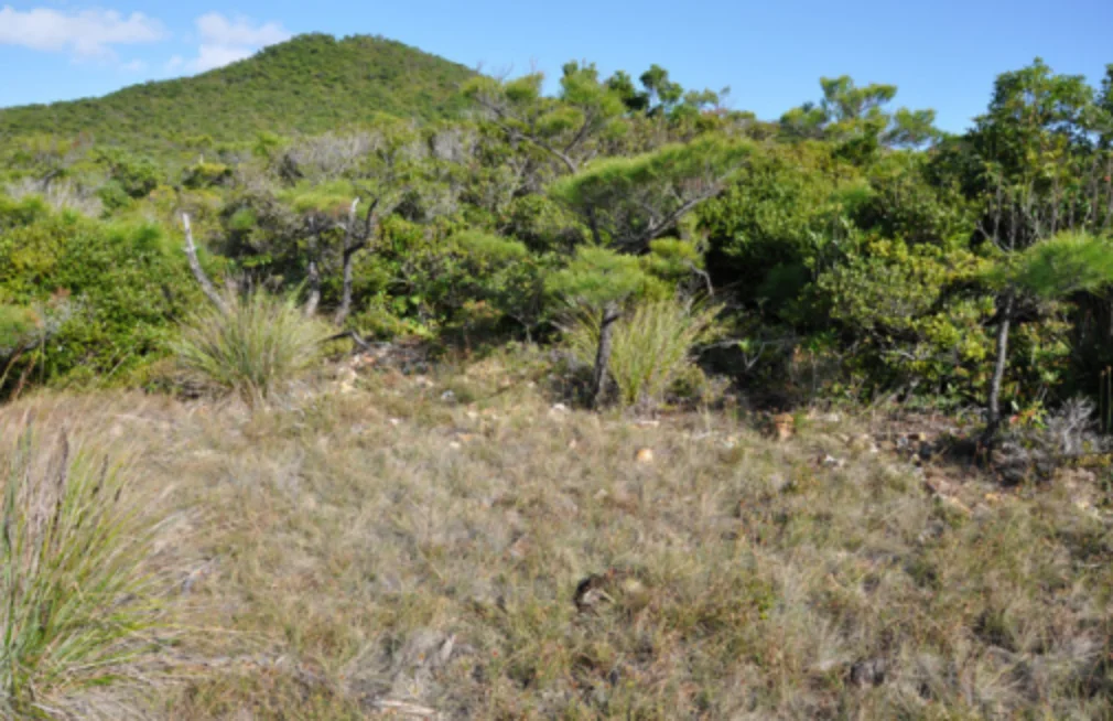 琉球列島伊是名島