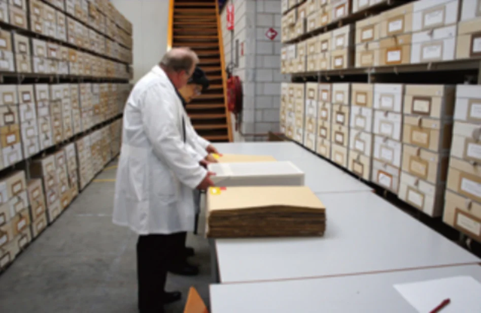 植物標本室での標本調査