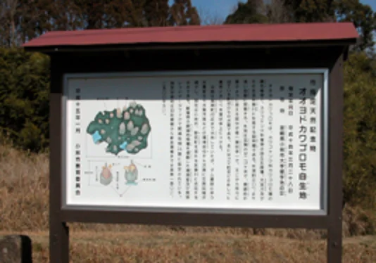 カワゴケソウ_看板