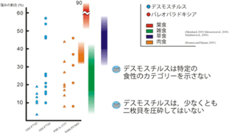デスモスチるの歯の微笑摩耗痕