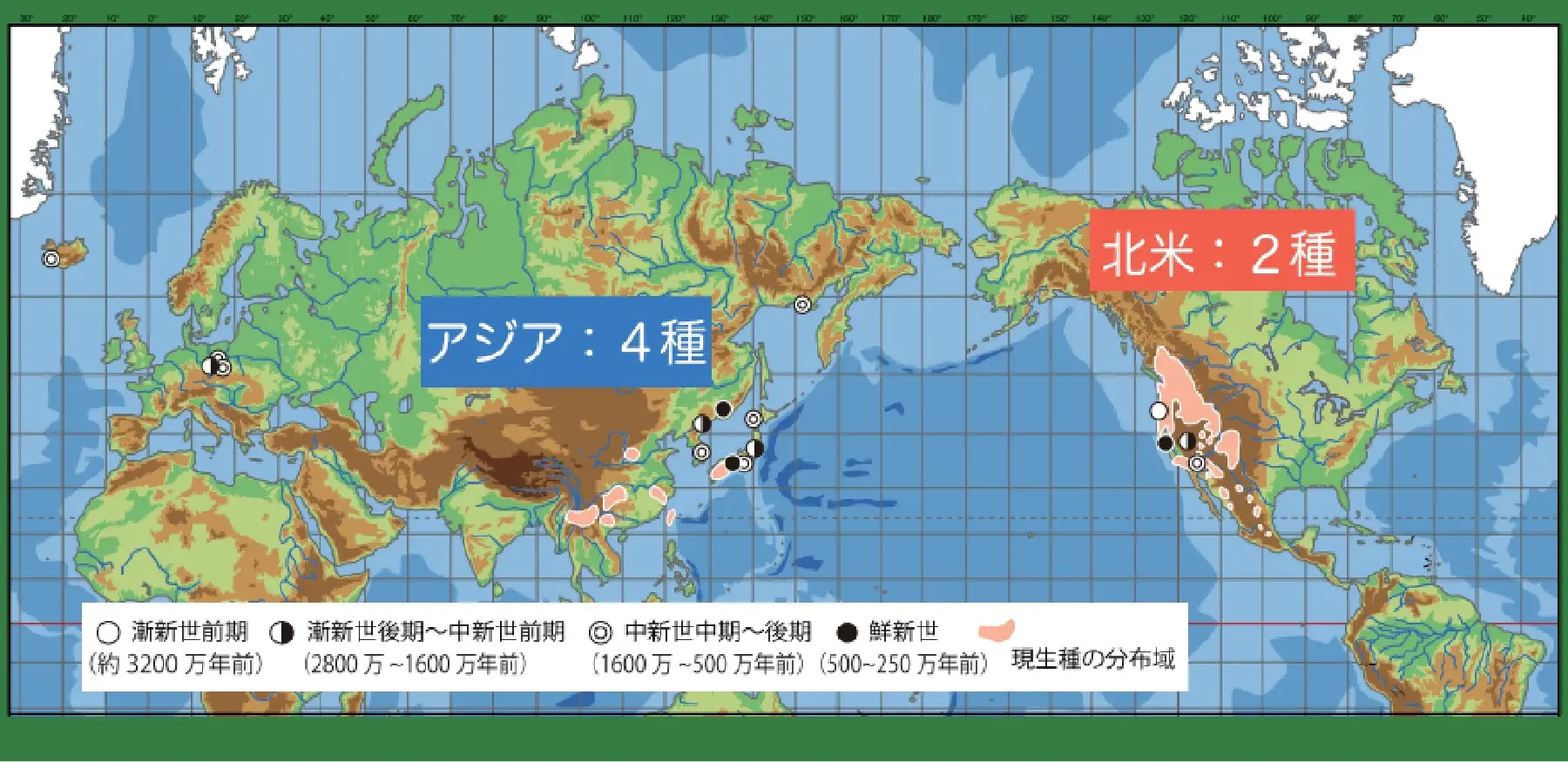 トガサワラ属の分布と化石産地