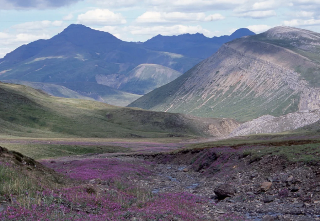 アラスカ・タルキートナ山地