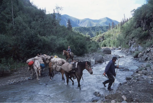 馬を連れて奥地へ