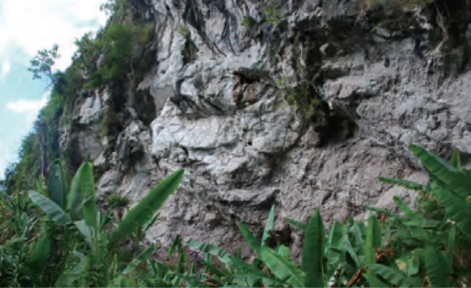 ジャングル内_石灰岩