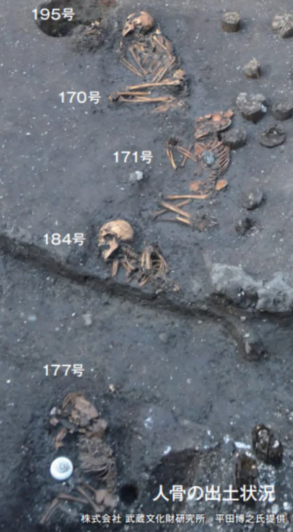 人骨の出土状況