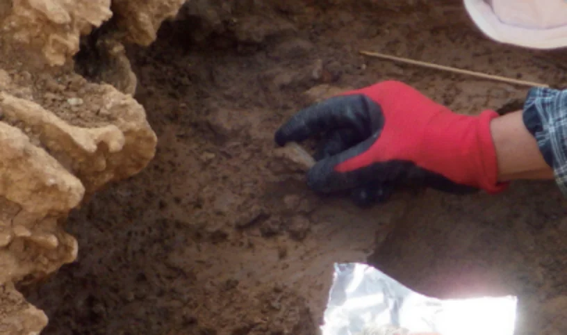 石垣島_白保竿根田原洞窟遺跡