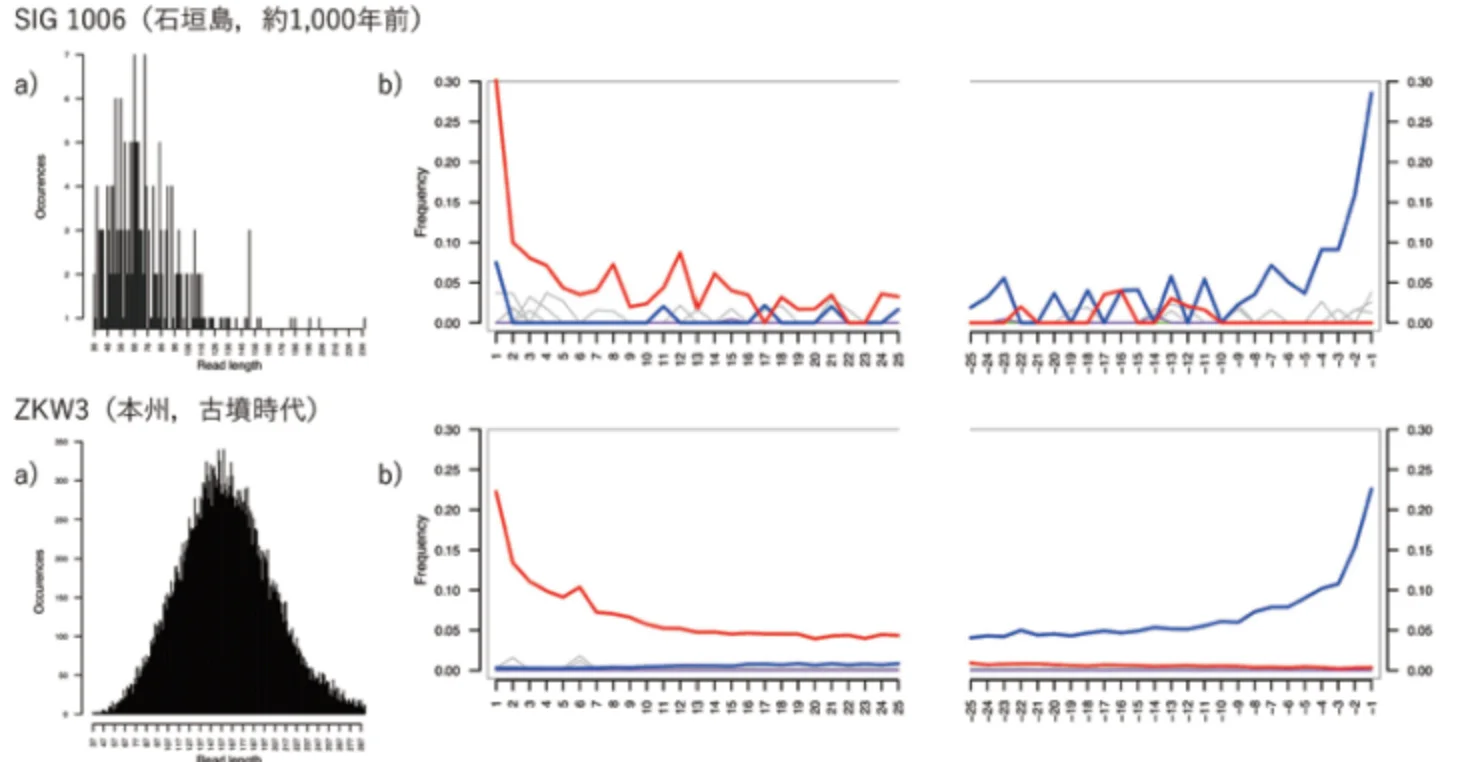 DNA状態の悪い資料といい資料の例