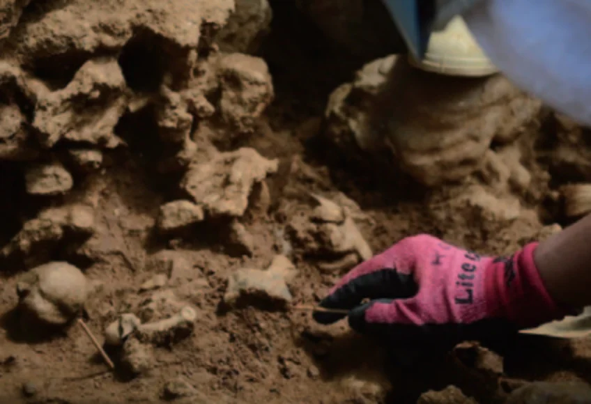 白保竿根田原_洞穴遺跡