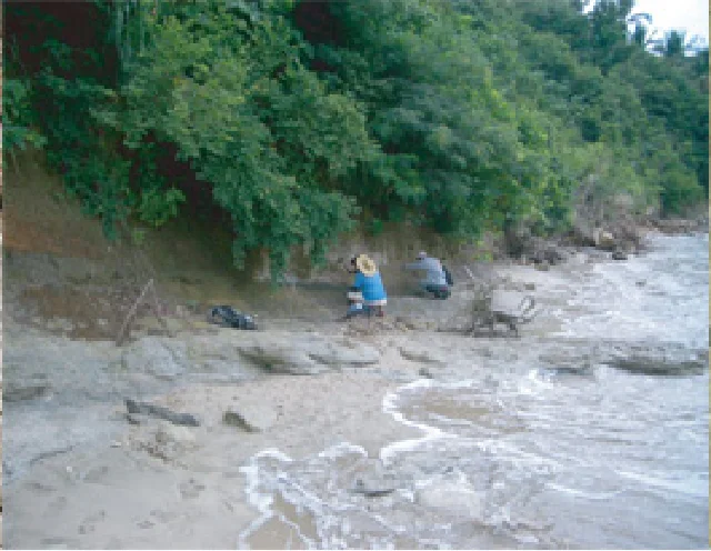 海岸の珪化したビカリア山地