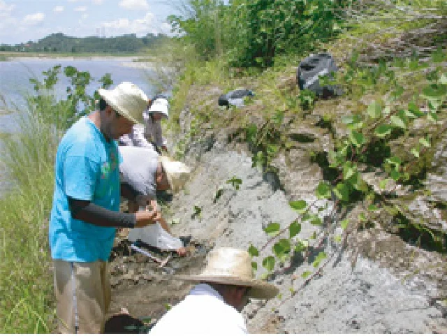フィリピン_ルソン島北部_ビカリアの産地