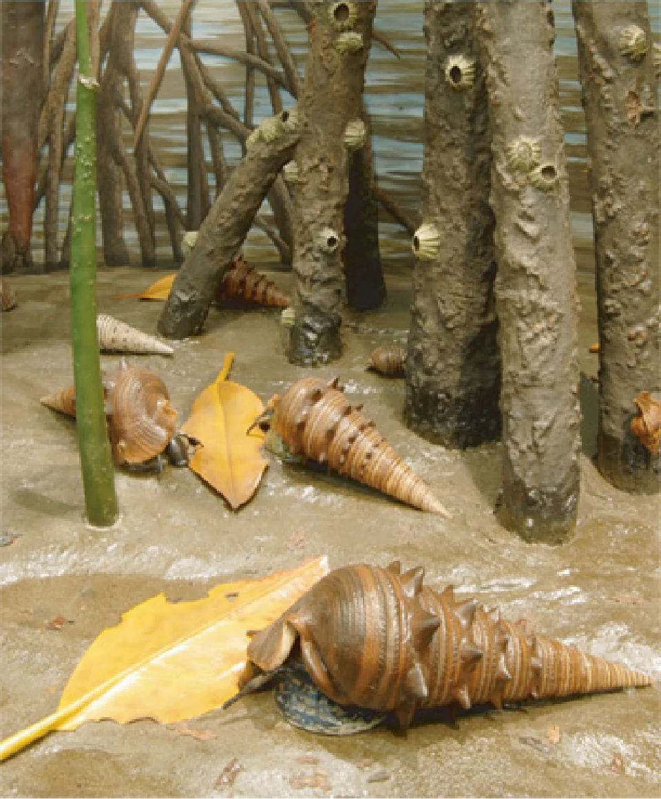 ビカリアの海のジオラマ