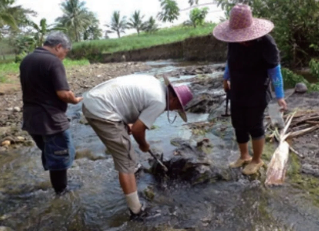 ネグロス島_化石発掘