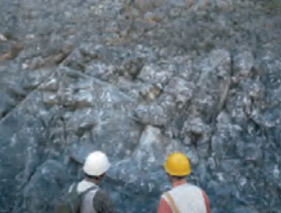 シカマイア密集層