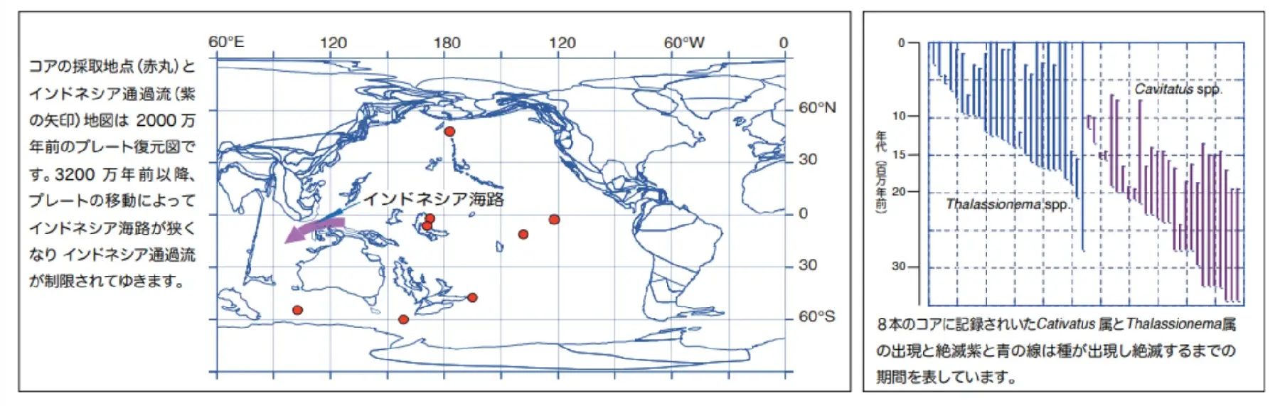 コアの最終地点