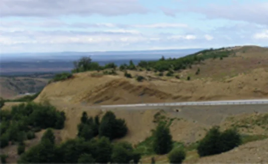 ドロテアの始新世後期植物化石産地