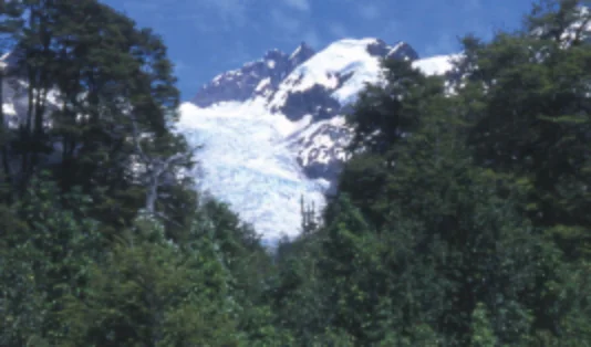 ナンキョクブリン