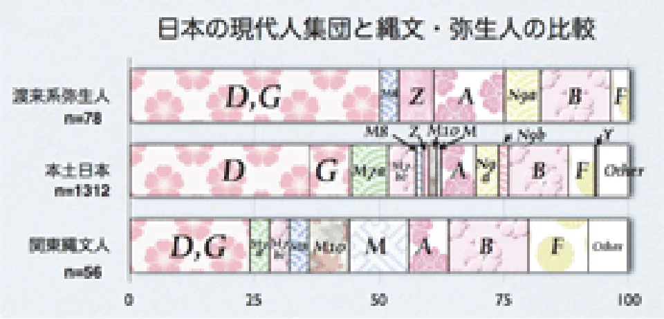 日本の現代人と縄文・弥生人の比較