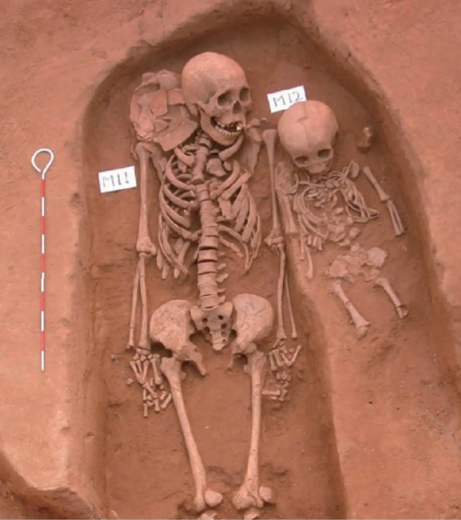 古代人の話す物語を聞く | 国立科学博物館 National Museum of Nature