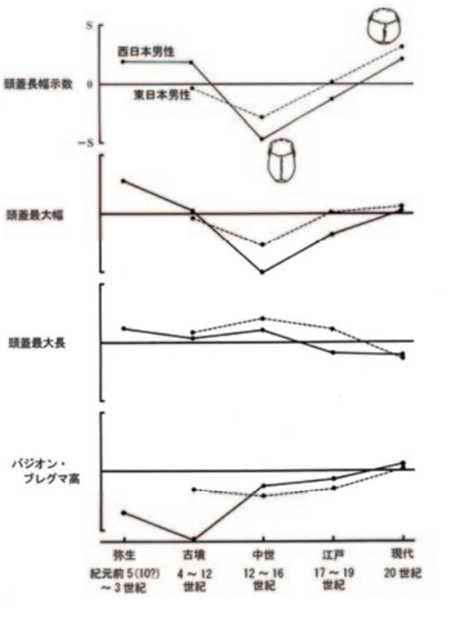 長頭化現象と引き続く短頭化現象