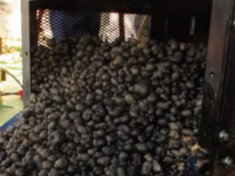 ジャッキー海台_岩石