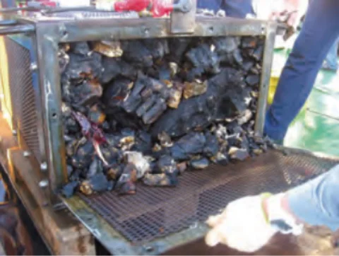 ドレッジで得た溶岩