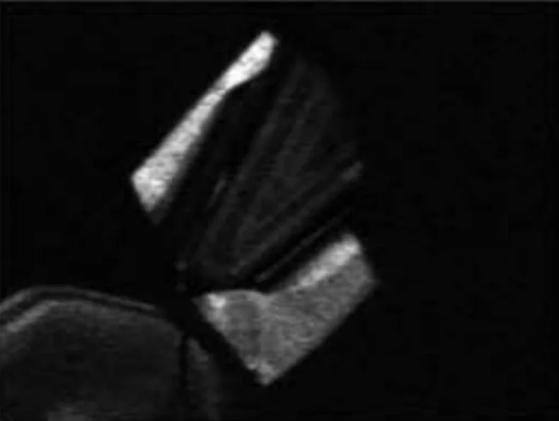 37億年代_ジルコン