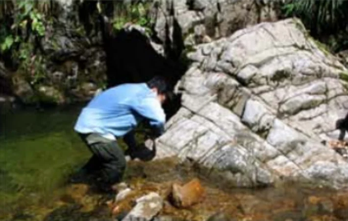 サンプル採取通