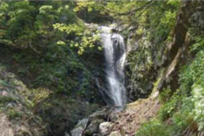 十字石結晶片岩