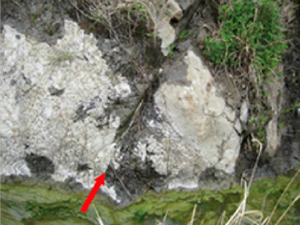 千葉石_産出現場