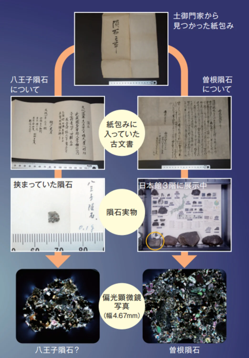 まぼろしの八王子隕石 | 国立科学博物館 National Museum of Nature