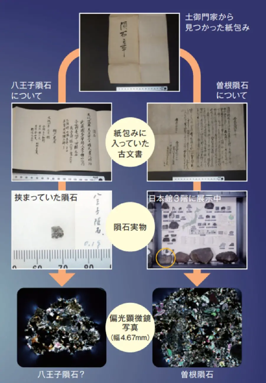 まぼろしの八王子隕石 | 国立科学博物館 National Museum of Nature