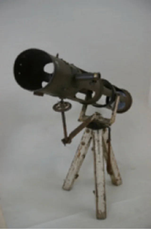 初めて」がつく新発見の資料たち | 国立科学博物館 National Museum of