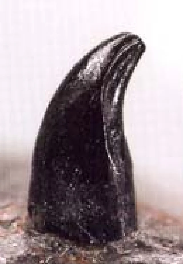 ティラノサウルス