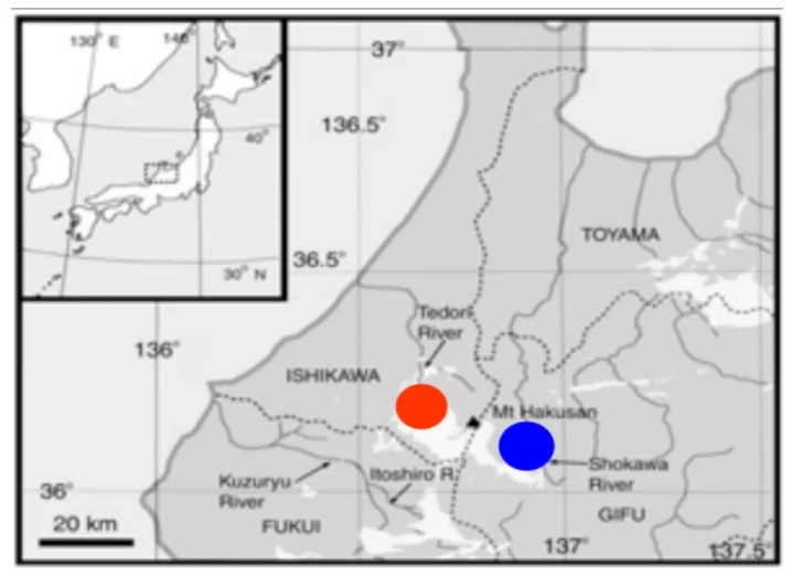 手取層群の分布域